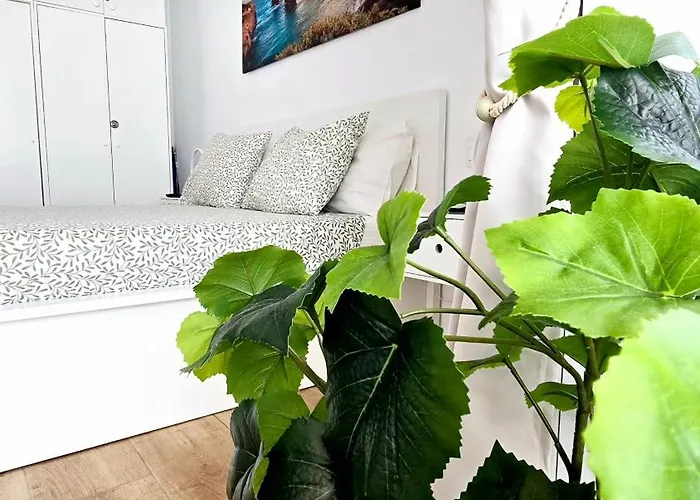 Ocean View Luxury Americas Appartement